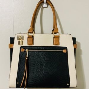Elegant ALDO Color Block Tote